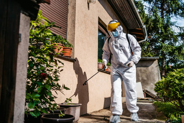 Best Residential Pest Control  in Hector, MN