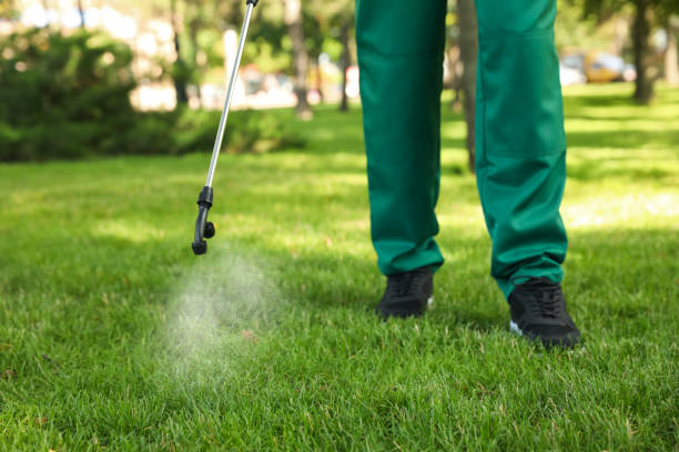 Trusted Hector, MN Pest Control Experts