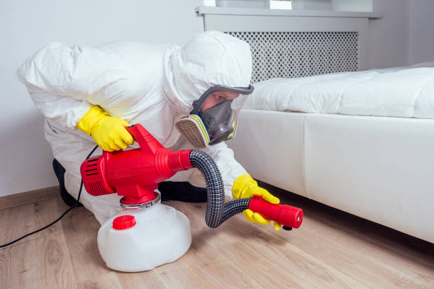 Best Termite Control Services  in Hector, MN