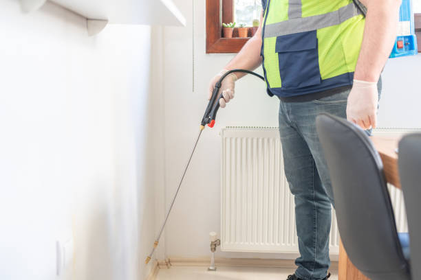 Best Mosquito Control Services  in Hector, MN
