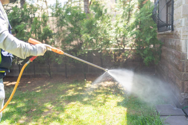 Best Local Pest Control Services  in Hector, MN