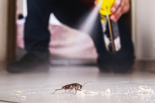 Best Pest Control for Restaurants  in Hector, MN