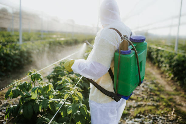 Best Emergency Pest Control  in Hector, MN
